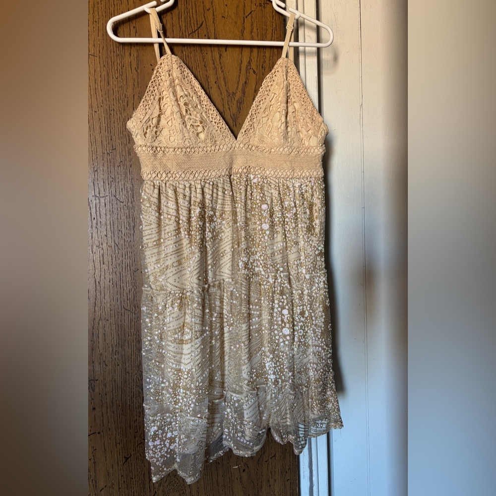 Beige Lace and Sequin Souther Fried Chicks S Dress